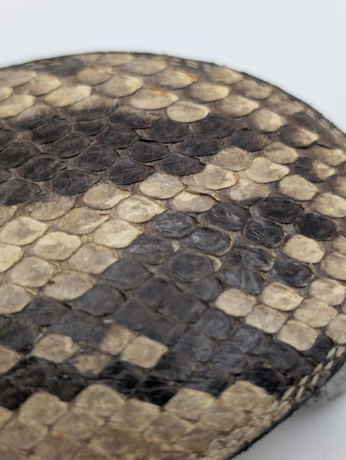 Vintage Genuine Python Snakeskin Belt Buckle Oval Leather Inlay Western Exotic