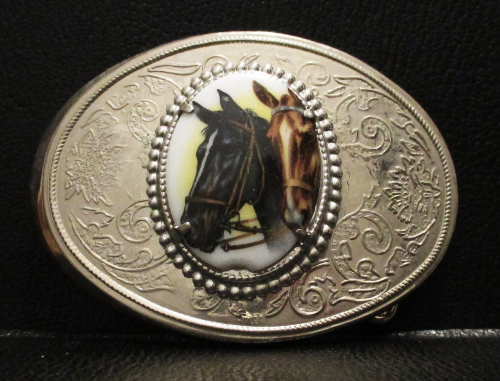 Western Style Horse Celluloid Belt Buckle Quarter Arabian Thoroughbred Morgan