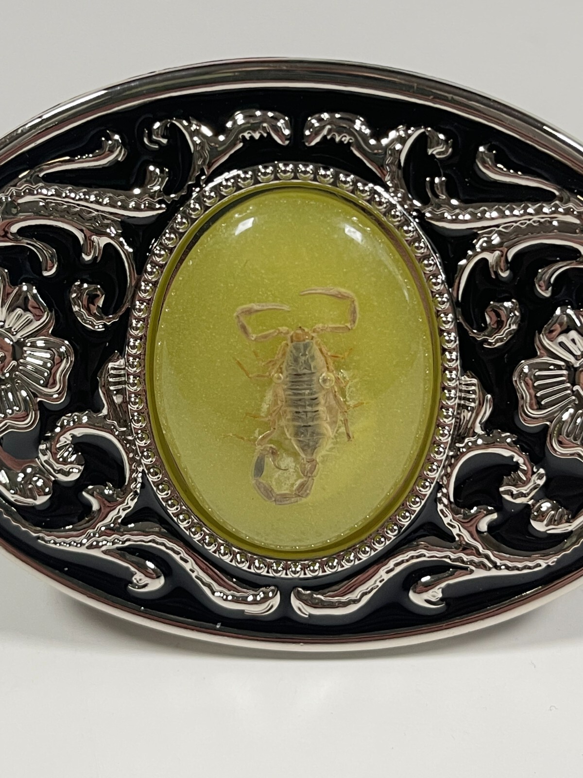 Real Scorpion Belt Buckle Insects in Resin Taxidermy – Minor Defects – 3 Pack
