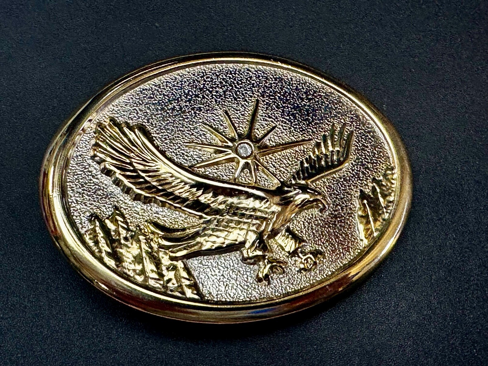 Eagle With Starburst USA Patriotic Belt Buckle Golden Western Bird Wings Cowboy