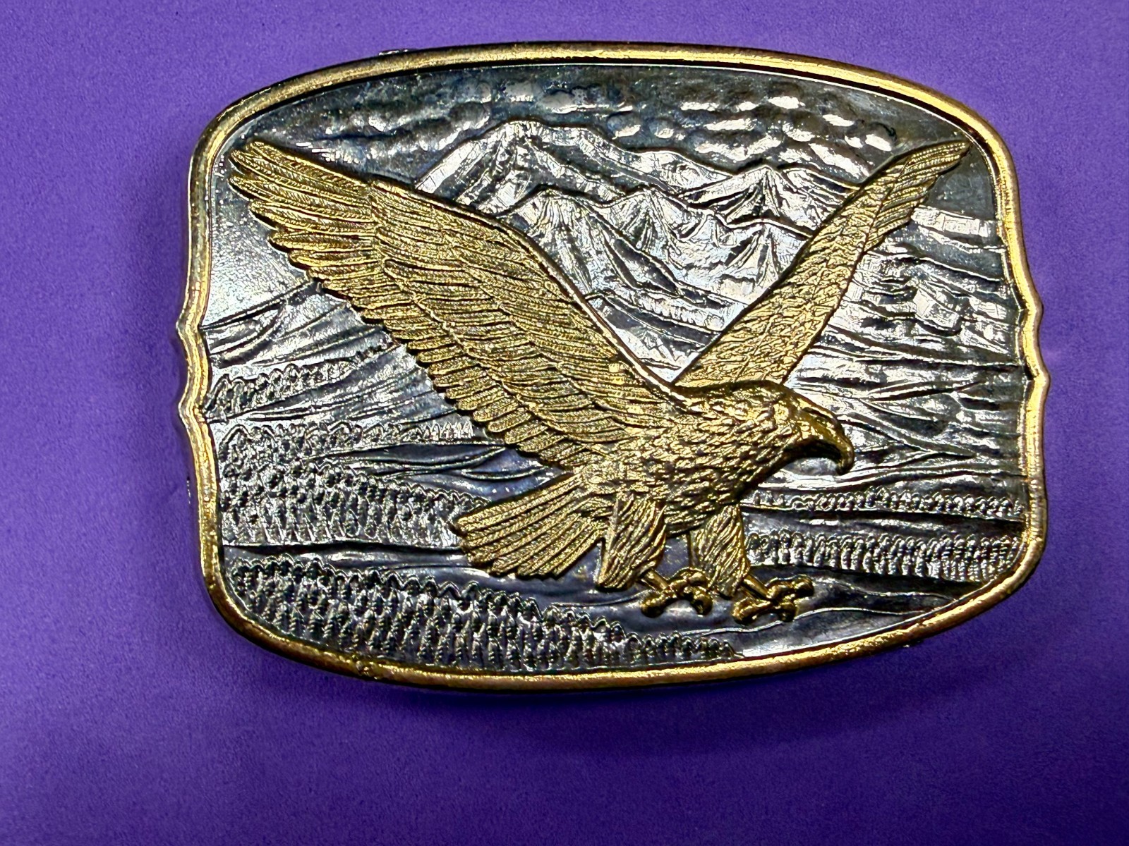 Flying Eagle Spreading Wings over the Mountain Scene Vintage Belt Buckle