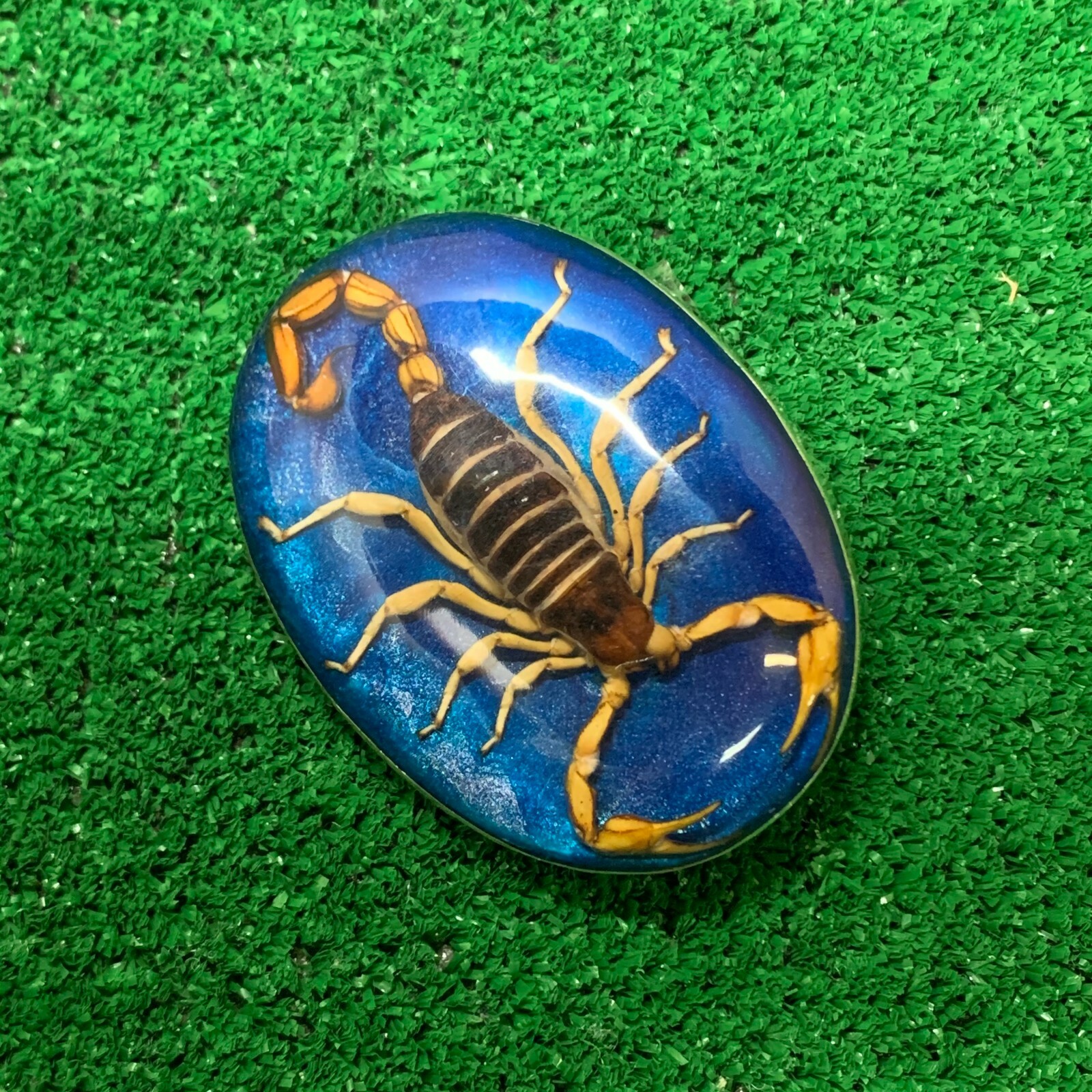 Vintage Mexico Alpaca Silver Belt Buckle w/ Genuine Scorpion Hebilla de Alacrán