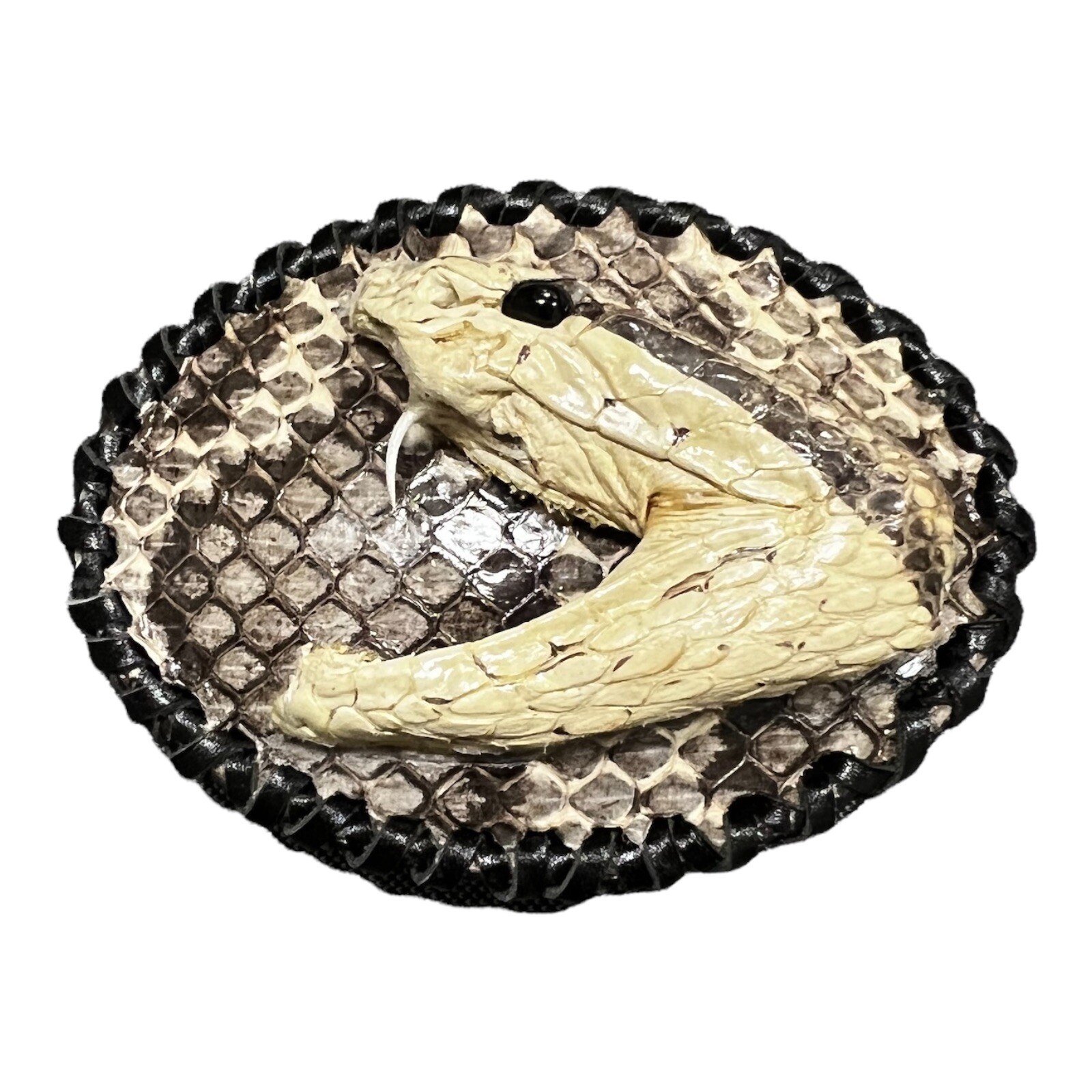 Rattle Snake Buckle Western Cowboy Style hebilla piton víbora Vaquero