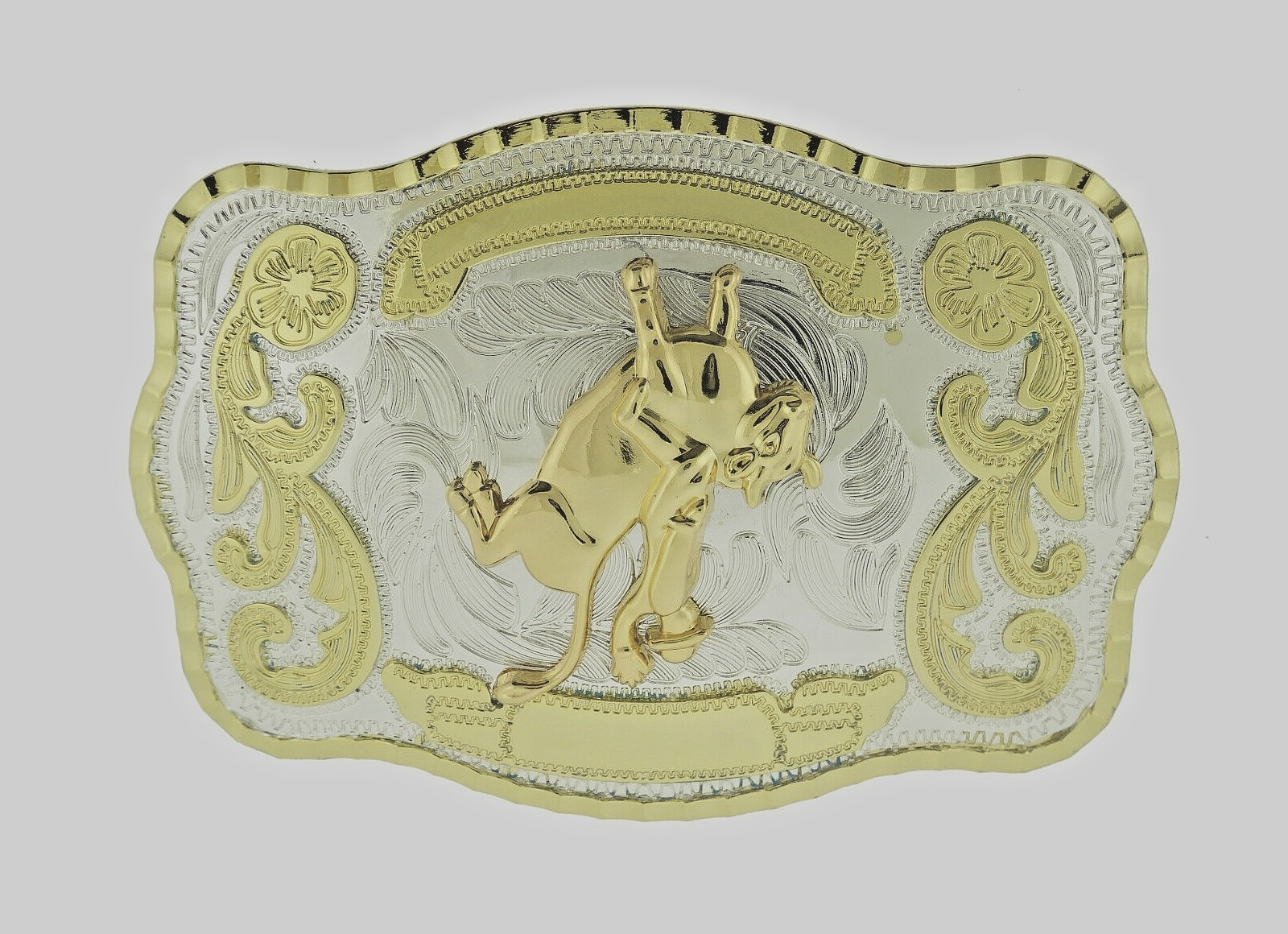 Rodeo Belt Buckle Gold Silver Metal Square Cowboy Men Women Vintage Texas State