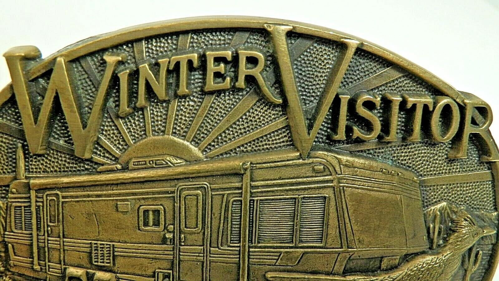 View Point Resort Brass Buckle, Winter Visitor Sunny Arizona by Award Design USA