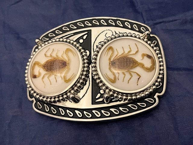 Silver tone Scorpion Belt Buckle and Bolo Set