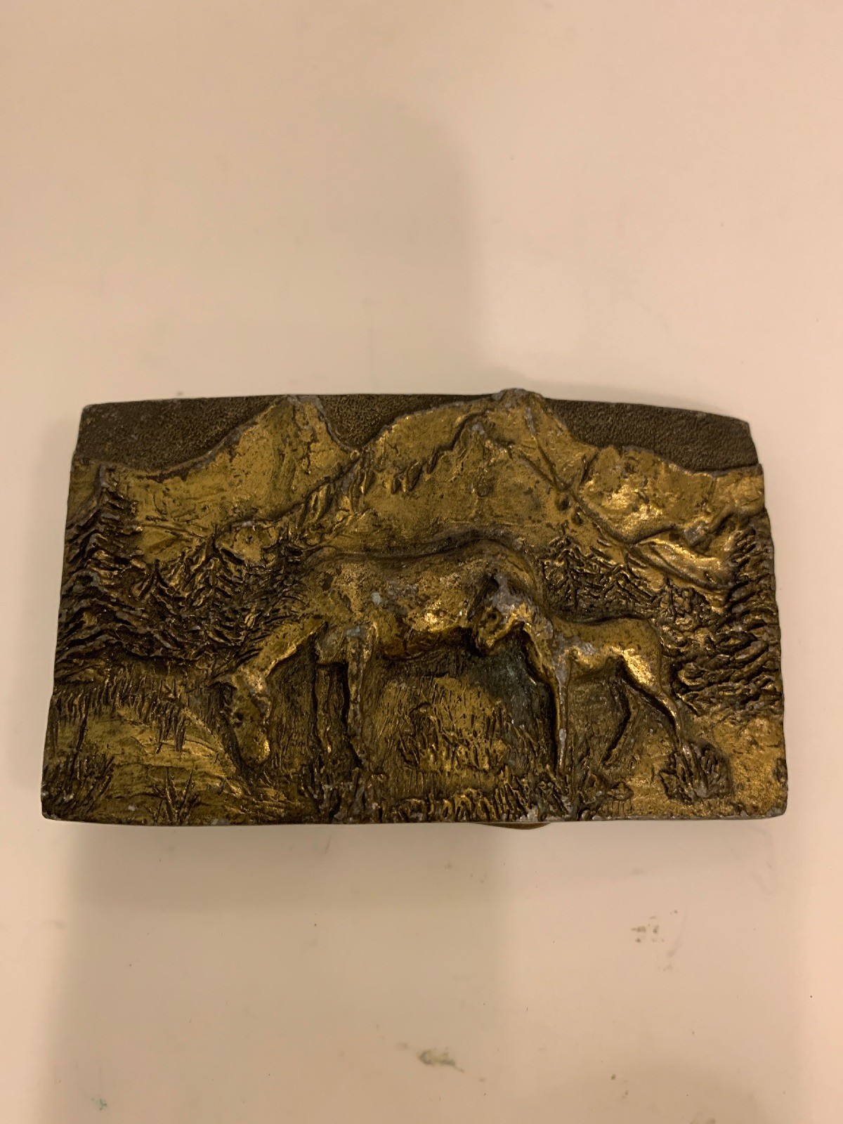Colorado Rocky Mountain Solid Brass Belt Buckle Special Cast 1979 USA.