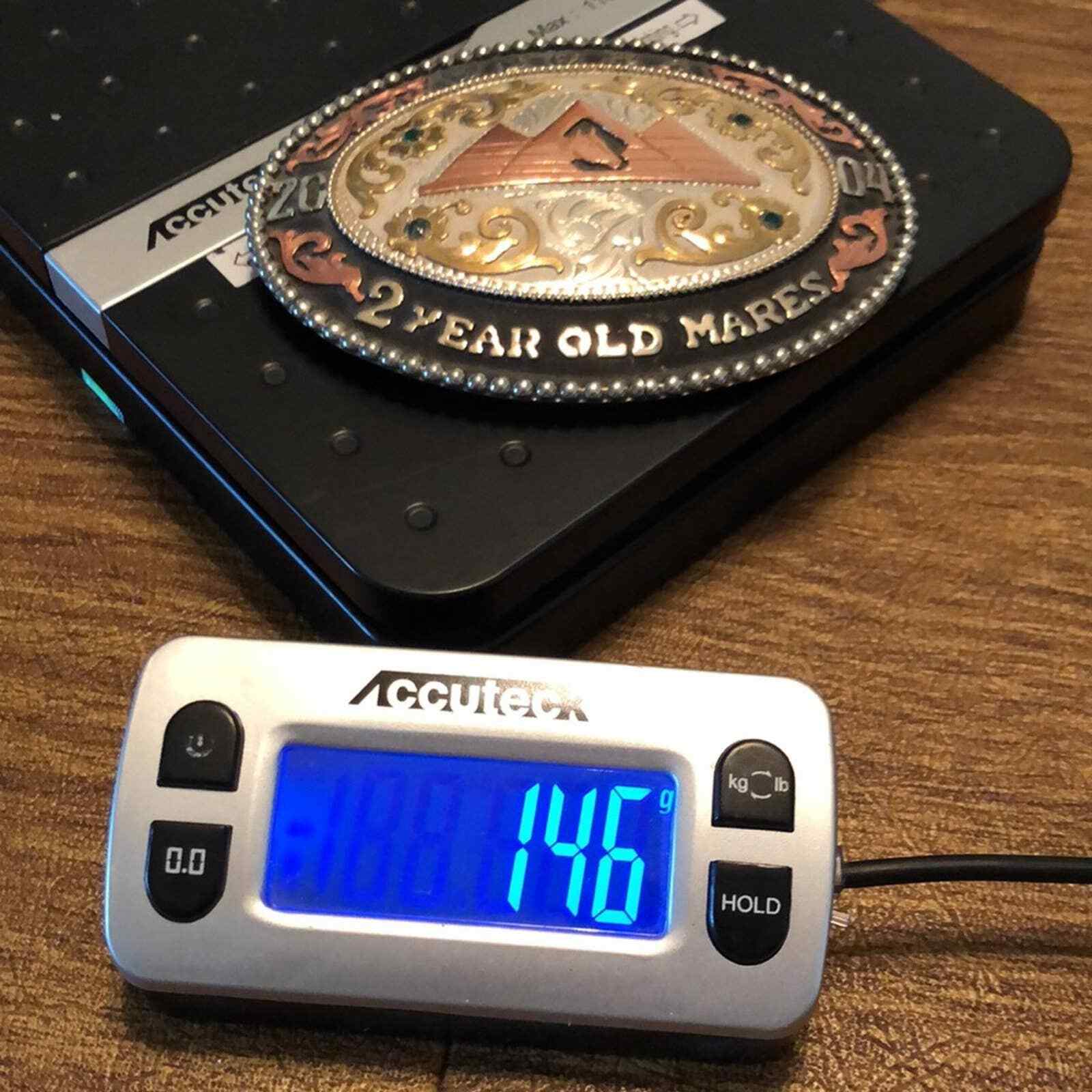 Frontier Brand WSQHA Q.H. Quarter Horse 2 Year Old Mares Trophy Belt Buckle