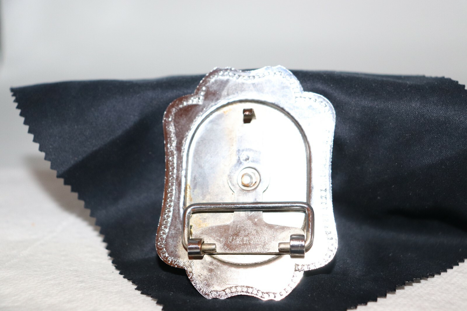 Horse in a Horseshoe Belt Buckle