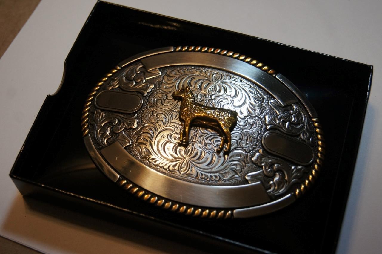 Crumrine Trophy Buckle Oval Gold SHEEP Ribbons Belt Buckle 38678