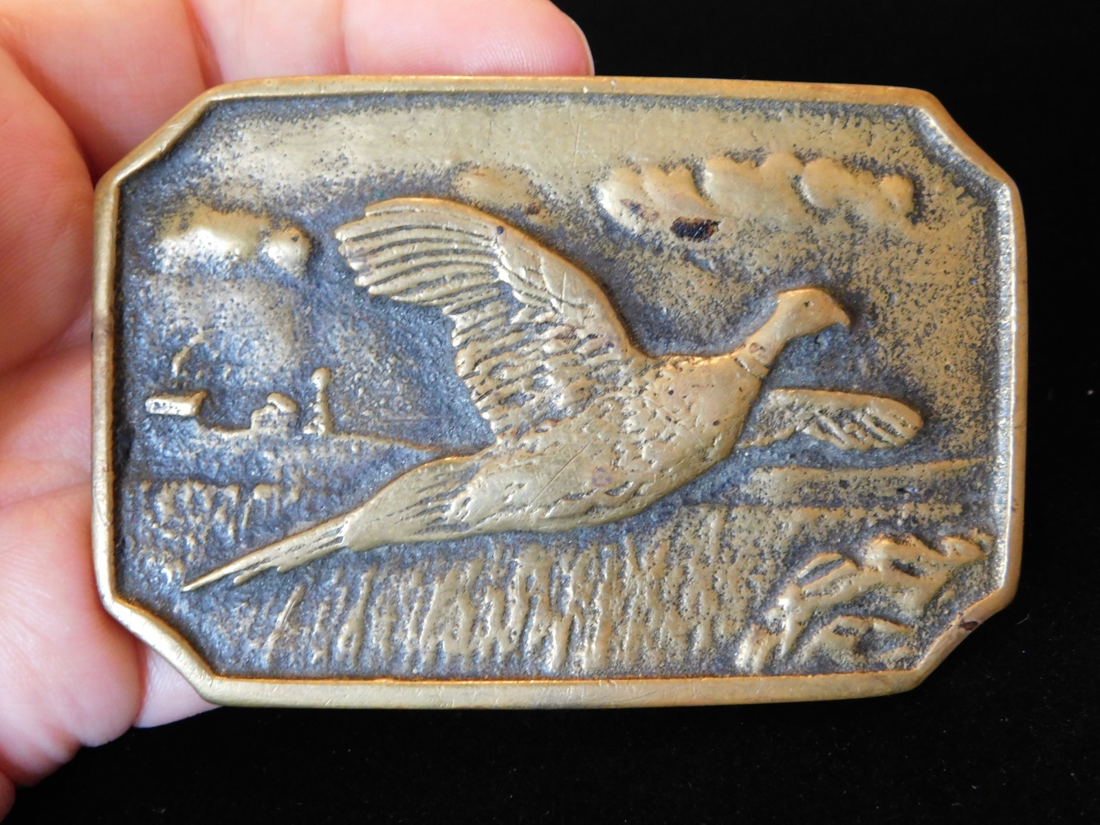 Game Bird Ringneck Pheasant Solid Brass Men’s Belt Buckle by BTS USA Made BT1370