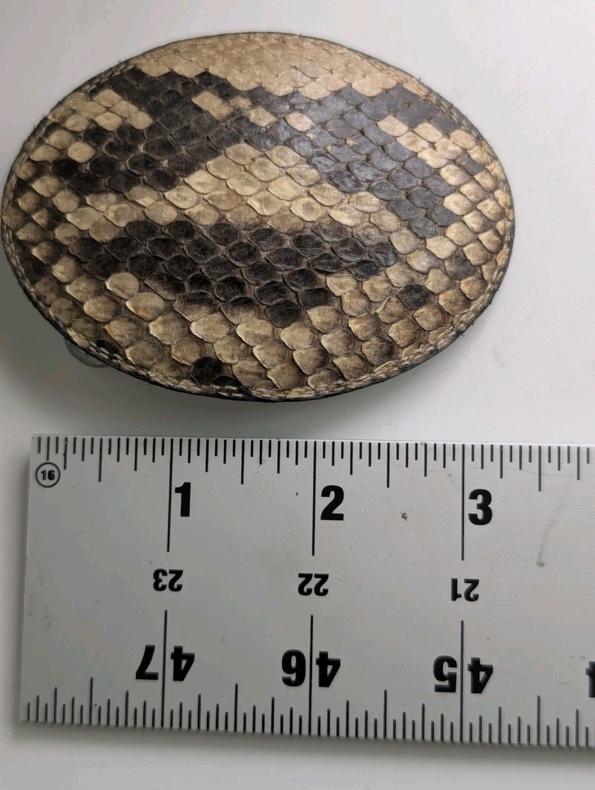 Vintage Genuine Python Snakeskin Belt Buckle Oval Leather Inlay Western Exotic