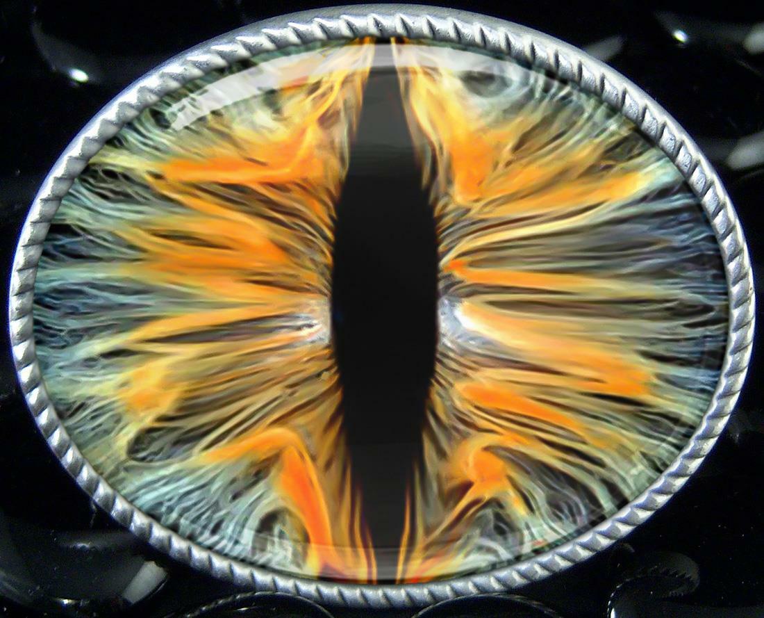 Eyeball Belt Buckle – Animal Taxidermy Halloween Cosplay Handmade Buckle -33-E