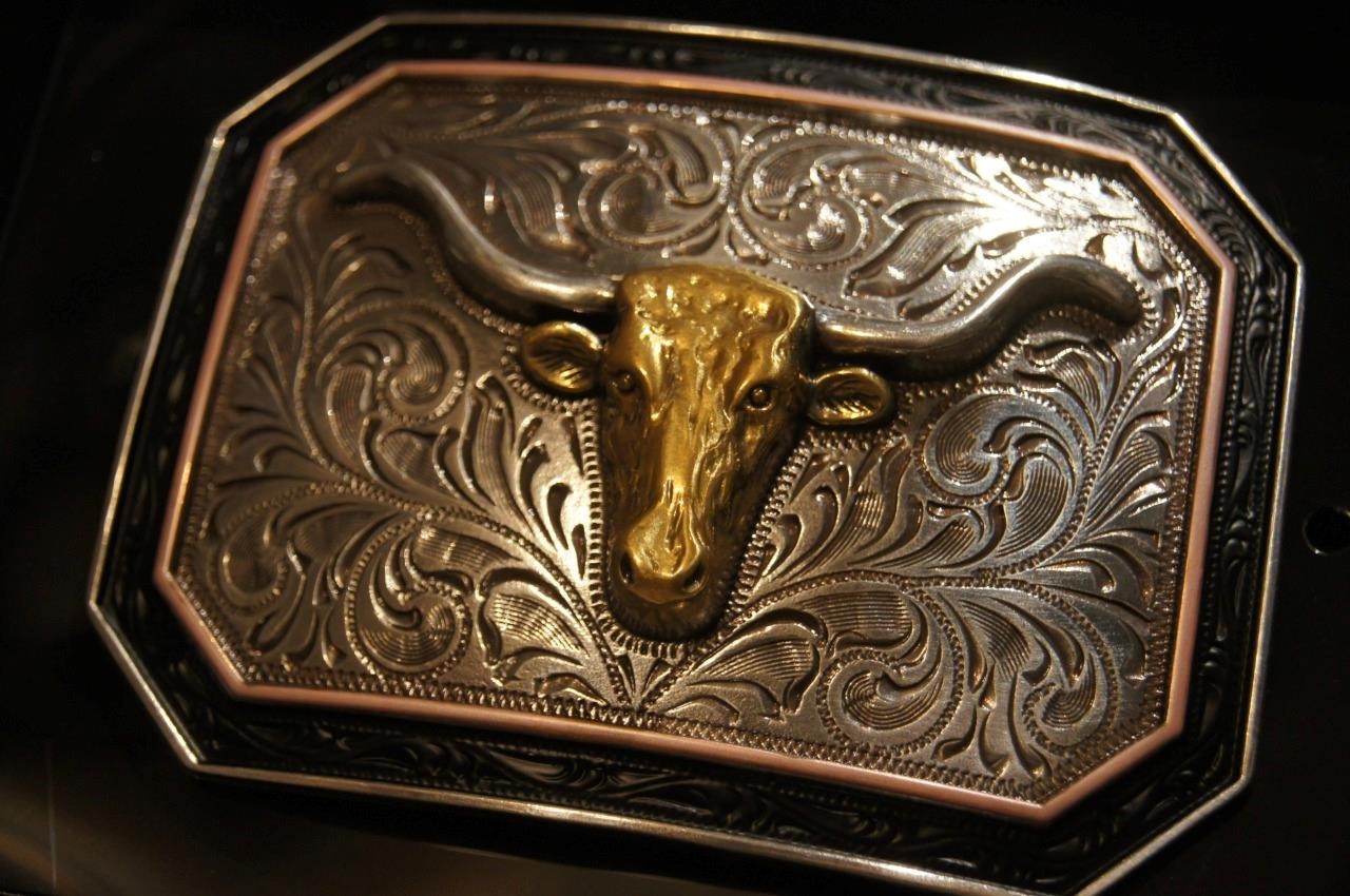 Ariat Western Rectangle Longhorn Silver & Gold tone Belt Buckle A37057