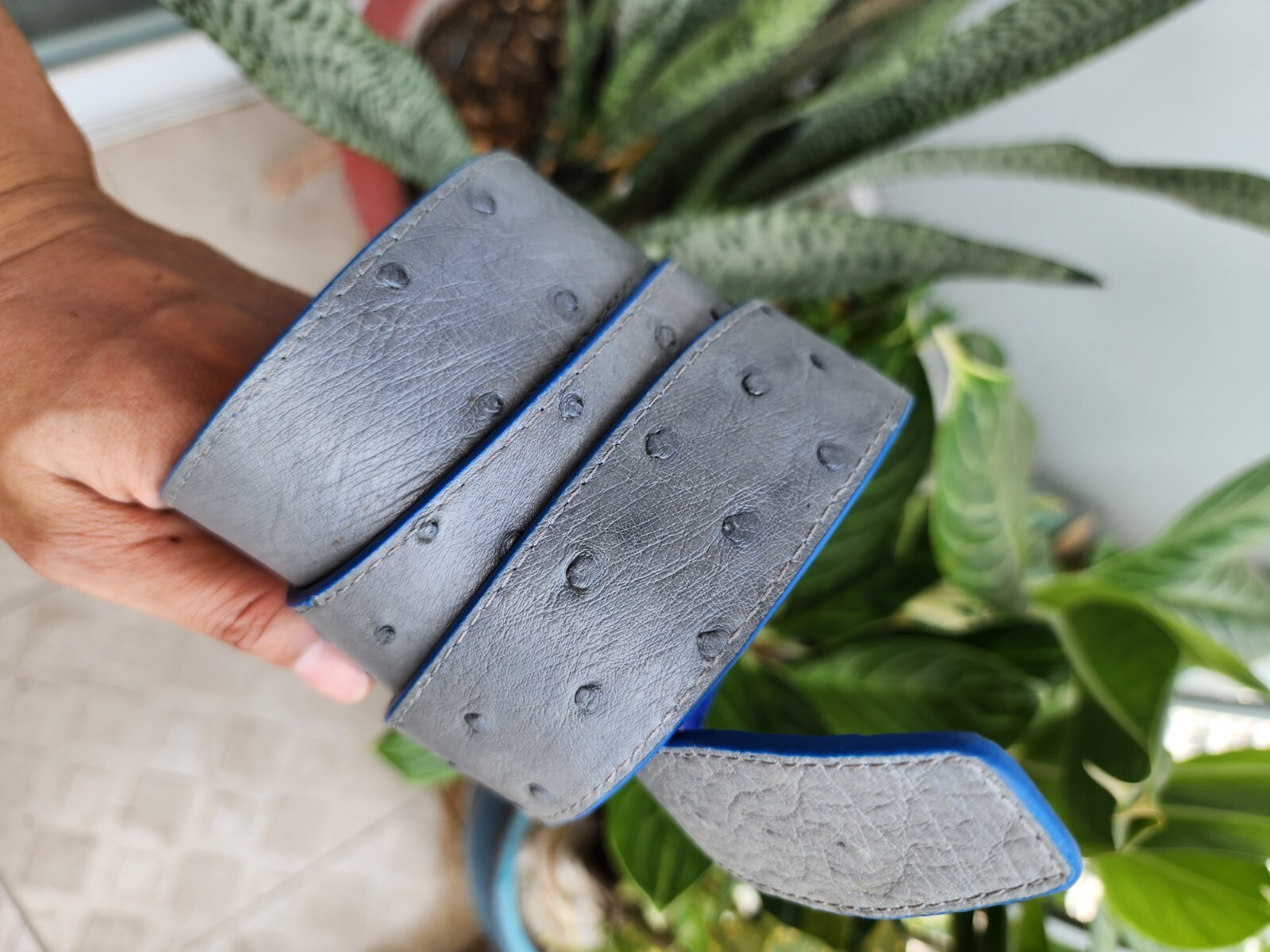 3.8CM Gray/Blue 100% Genuine Ostrich Leather Skin Men Belts Buckle-Handmade