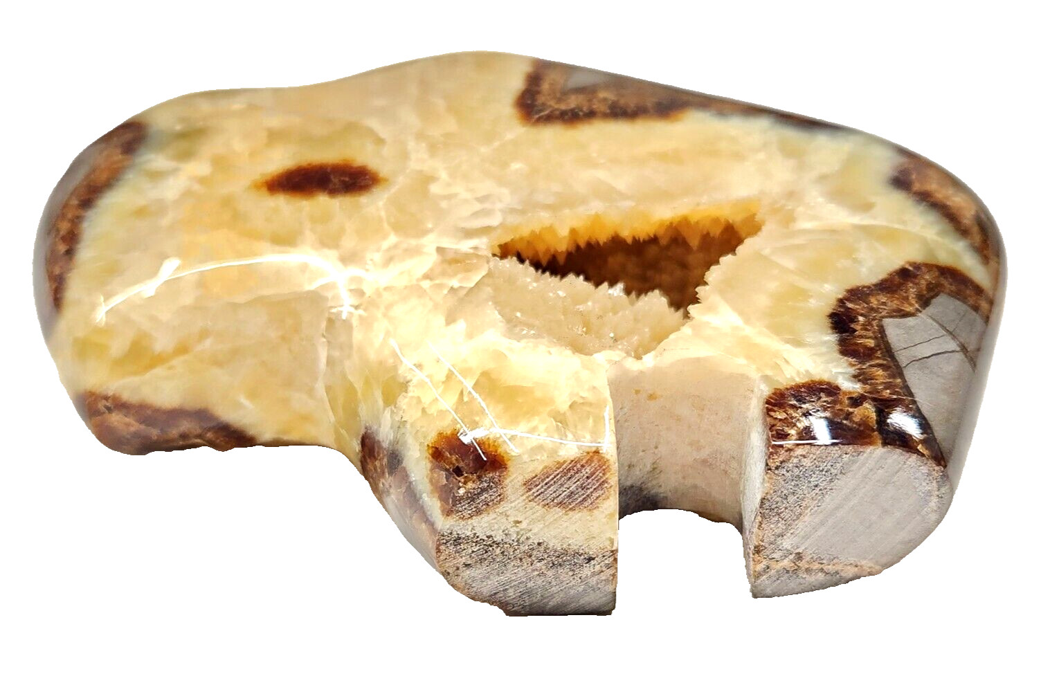 Large Polished Carved Septarian Nodule Crystal Calcite Buffalo Brass Belt Buckle