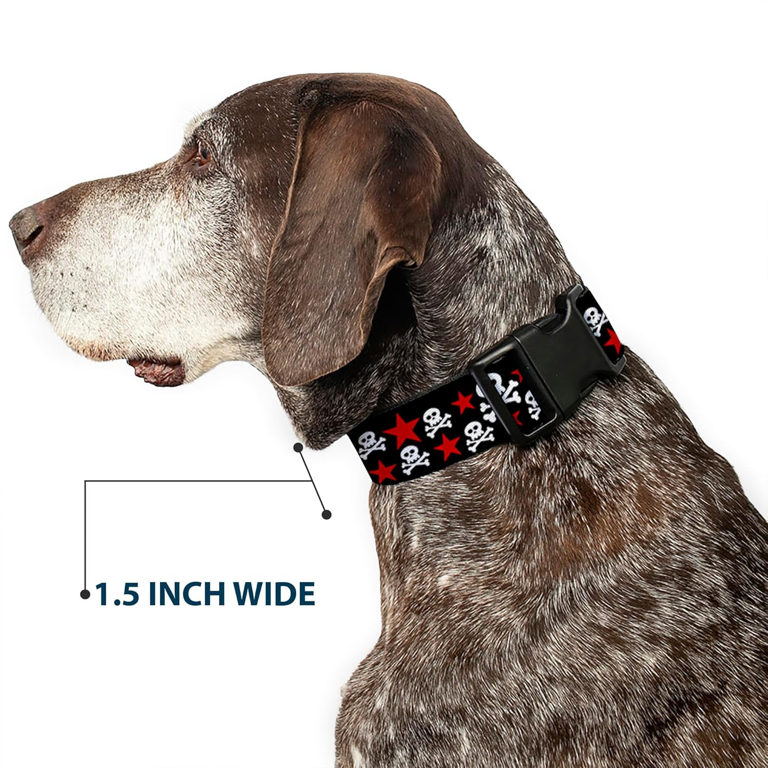18-32&Prime; Skulls & Stars Black/White/Red Plastic Clip Collar, Wide Large