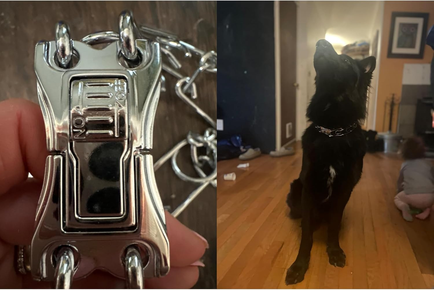 Quick-Release Buckle for Prong Collar, Stainless Steel Metal Buckle for 2.25Mm 3