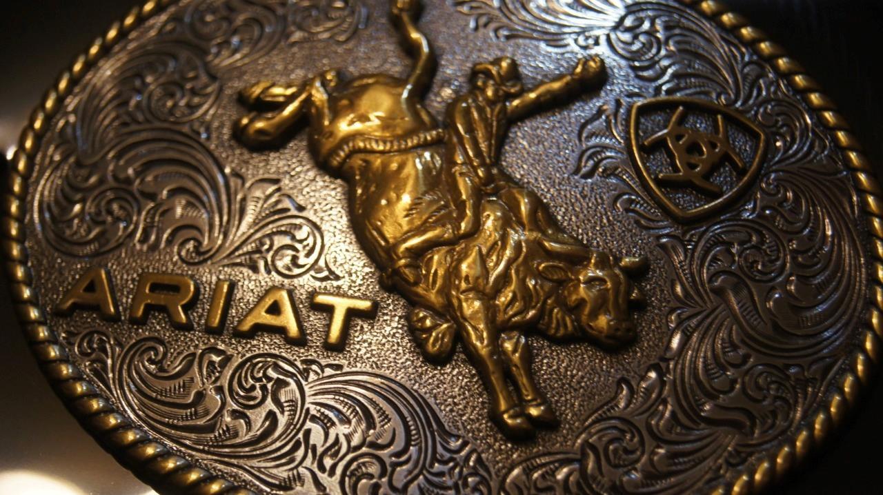 Ariat Western Belt Buckle Oval Bull Rider Logo Silver & Gold tone A37056