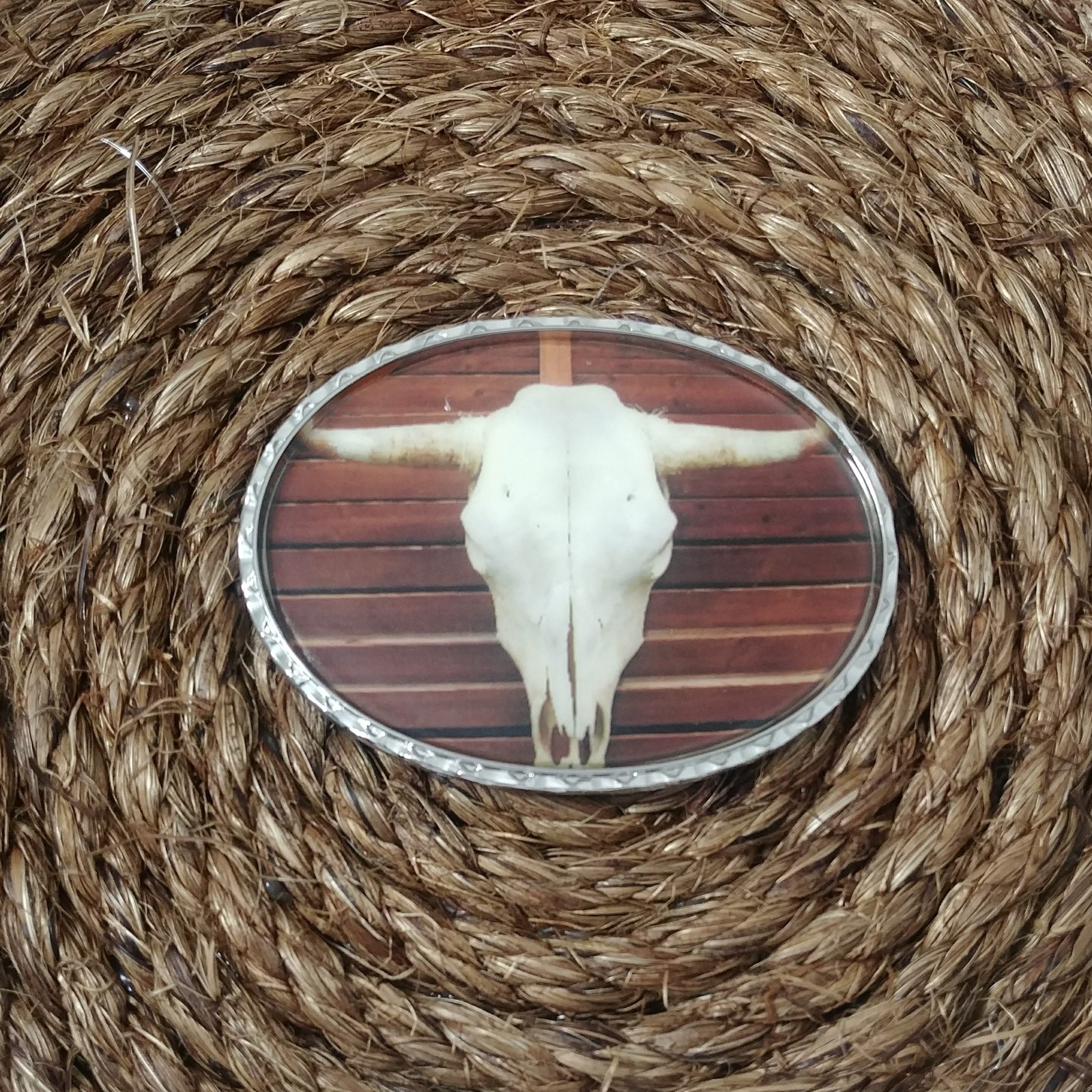 BULL SKULL METAL BELT BUCKLE COWBOY & WESTERN HEBILLA #130