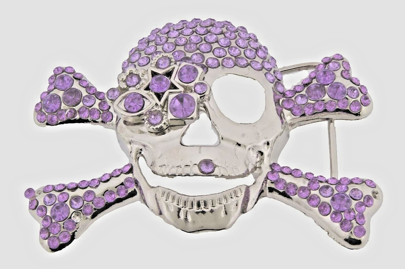 Skull Belt Buckles Crossbones Halloween Pirate Costume Bling Purple Rhinestones