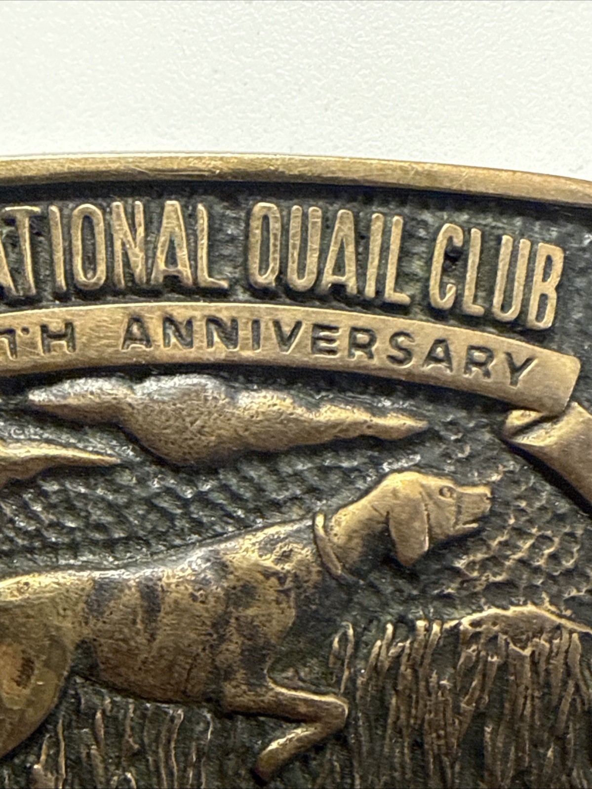1981 GRAND NATIONAL QUAIL CLUB ENID OKLAHOMA BIRD DOG HUNTER BELT BUCKLE 15 ANV.