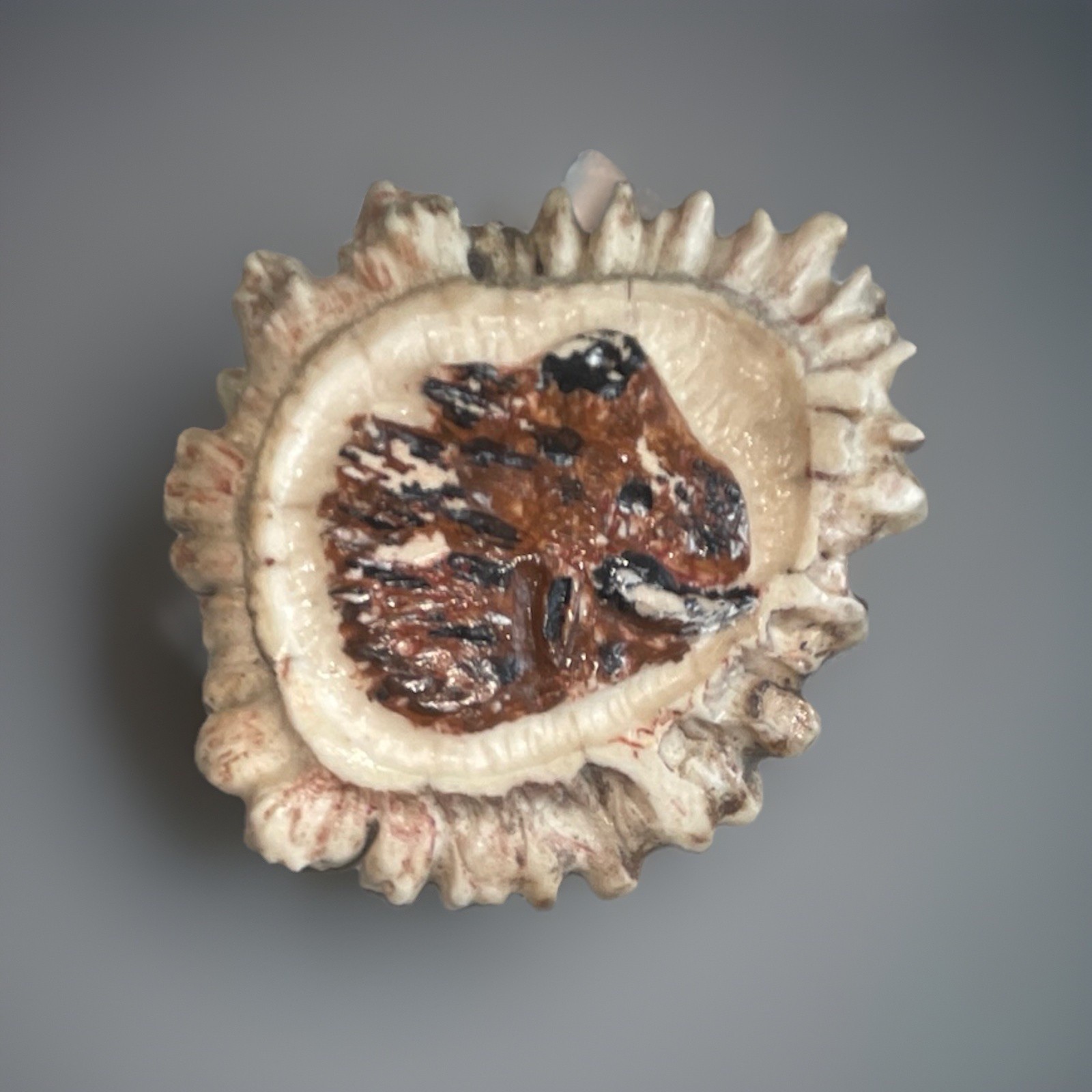 Artisan Deer Antler Belt Buckle Carved Moose Wildlife Rustic Western Hunting