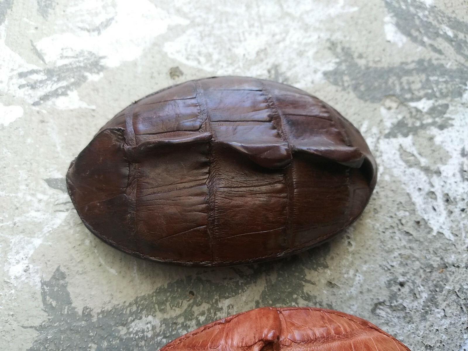 GENUINE LEATHER GATOR TAIL WESTERN BELT BUCKLE LOS ALTOS BOOT CO. (NICE)