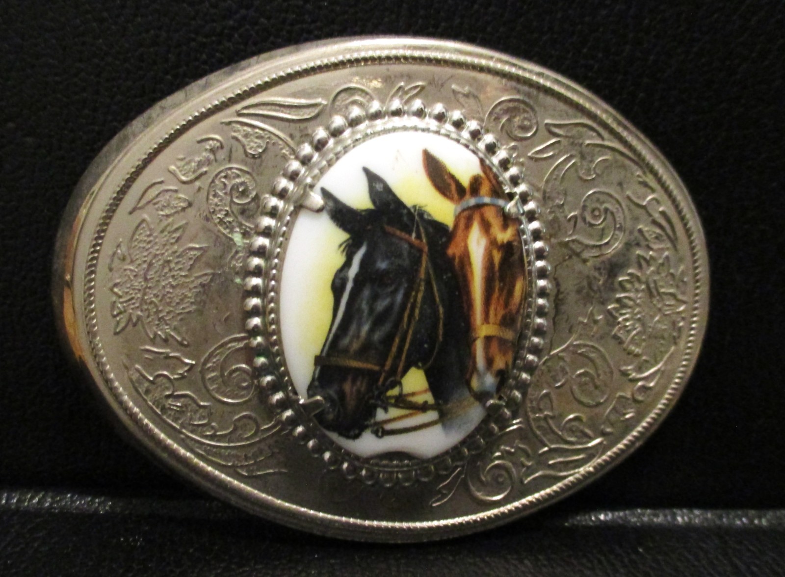 Western Style Horse Celluloid Belt Buckle Quarter Arabian Thoroughbred Morgan