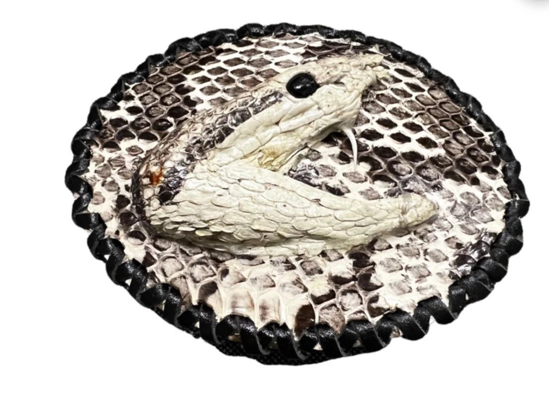 Rattlesnake cowboy cowgirl western style belt buckle
