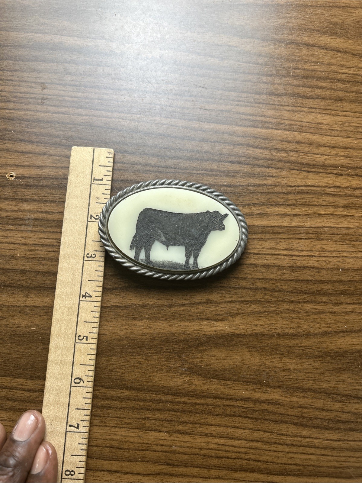 Vintage Jumpin Cactus Inc Steer Cattle Belt Buckle Made In USA. 4H Steer