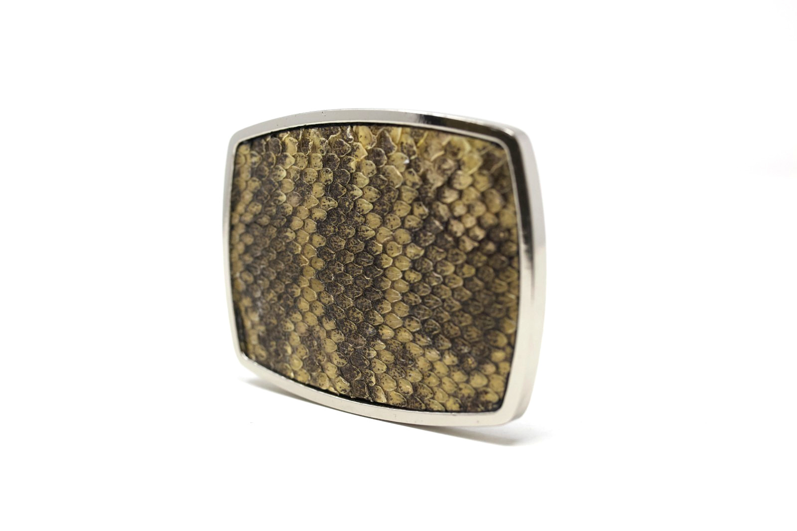RattleSnake Belt Buckle, Exotic Belt Buckle, ( 1.5 ») Removable Western Buckle