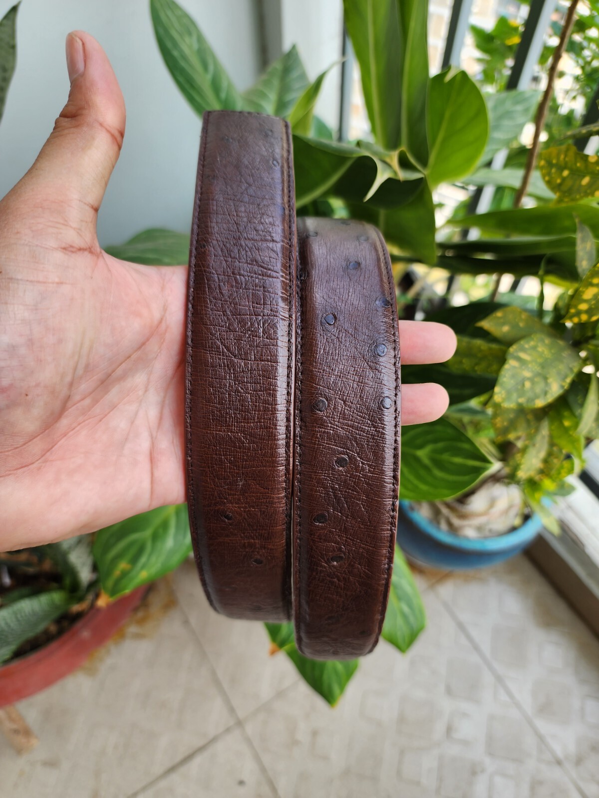 3.8CM Brown 100% Genuine Ostrich Leather Skin Men Belt Buckle- Handmade