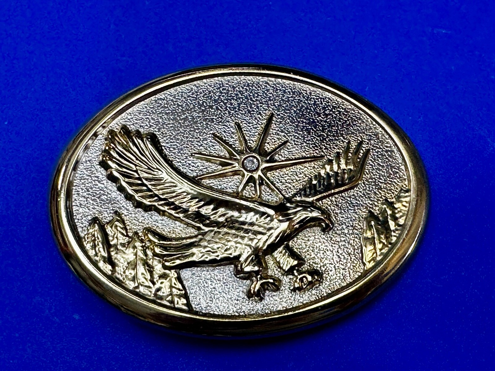 Eagle With Starburst USA Patriotic Belt Buckle Golden Western Bird Wings Cowboy