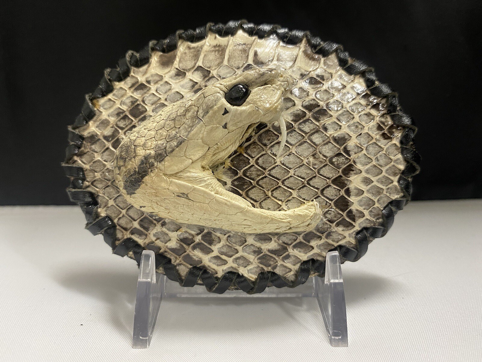 Rattle Snake Buckle Western Cowboy Style hebilla piton víbora Vaquero