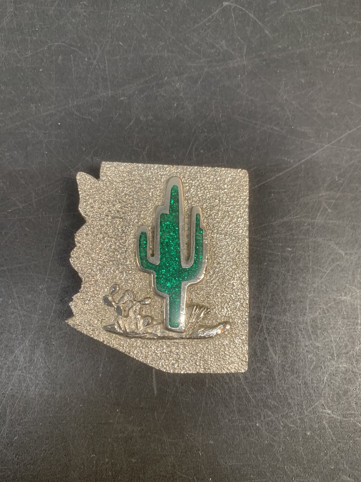 Arizona LAND OF ENCHANTMENT BELT BUCKLE Cactus – Green and Silver