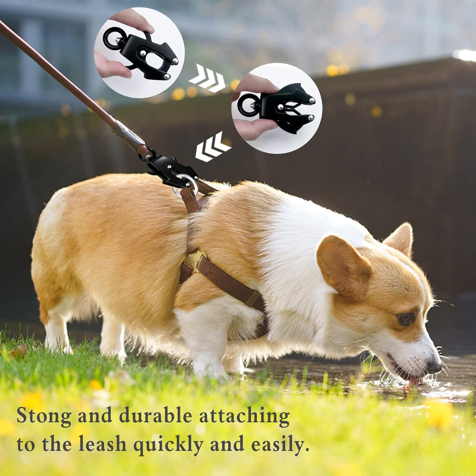 2 Pcs Dog Leash Buckle Aluminum Alloy Heavy Duty Quick Release Locking Frog Clip