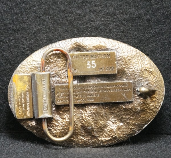 WJ15161 VINTAGE 2002 **WALNUT VALLEY FESTIVAL** BLUEGRASS MUSIC MENS BELT BUCKLE