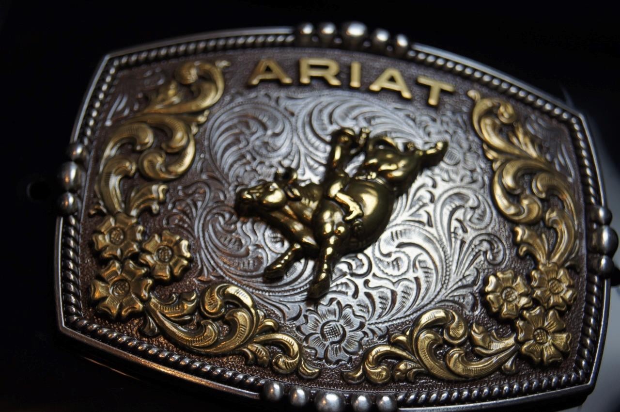 Ariat Western Belt Buckle Bull Rider Logo Silver & Gold tone A37065