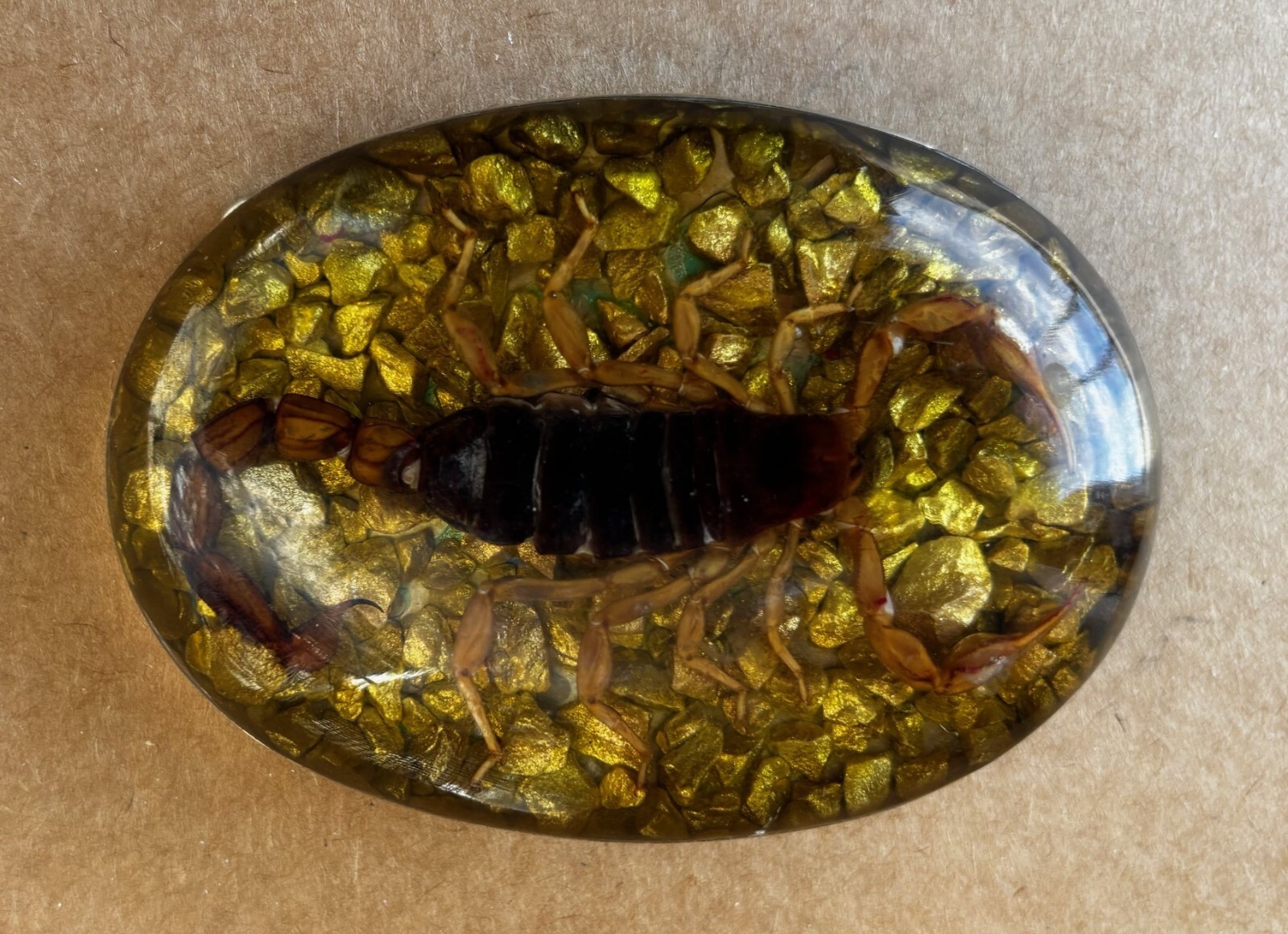 Scorpion Real Insect Belt Buckle Men Westen Cowboy Hecho Made en Mexico Vintage