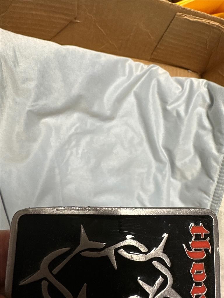Vintage Thorn Belt Buckle Rock Band?