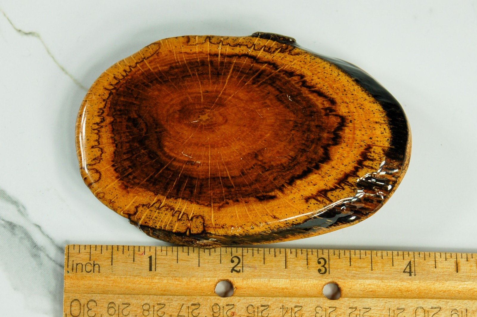Cross-Cut burl wood mens belt buckle western