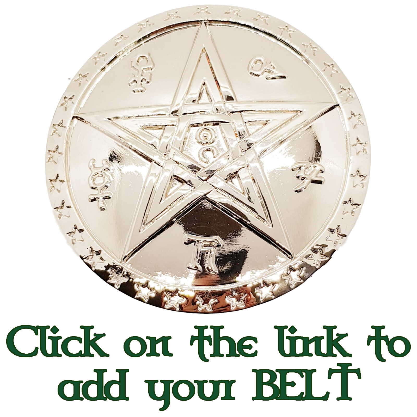 Shield Belt Buckle 5 pointed star celtic symbol rune gothic biker sherrif deputy