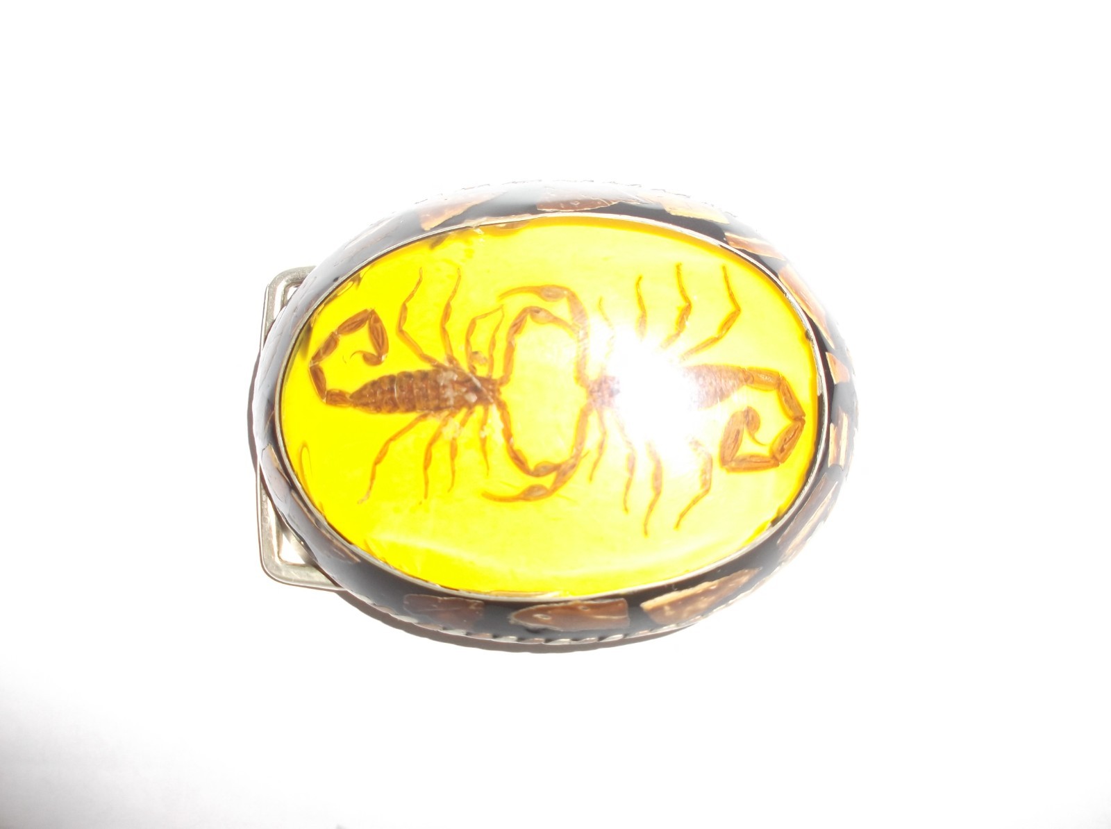 Vintage Dual-Scorpion Belt-Buckle w/Fossil Wood on Silver Design ALPACA