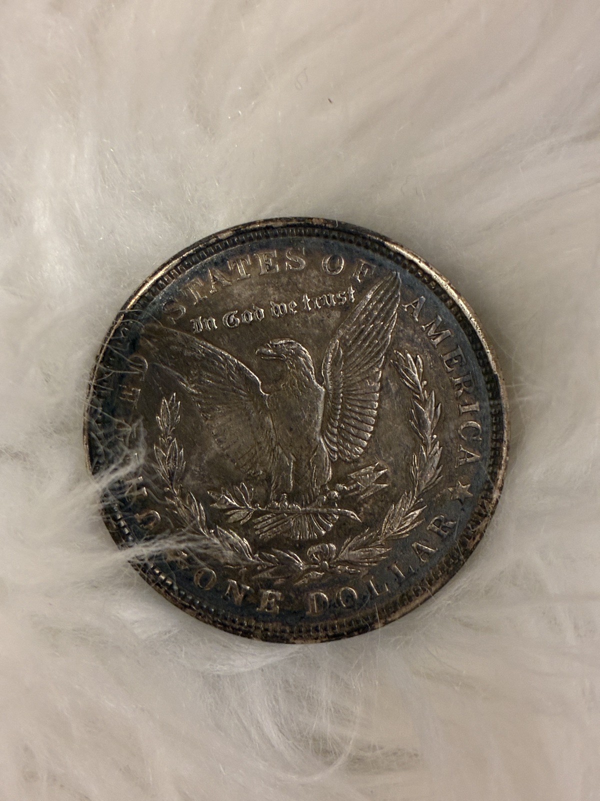 Genuine 1921 Morgan Silver Dollar Western Silver & Gold Tone Belt Buckle USA