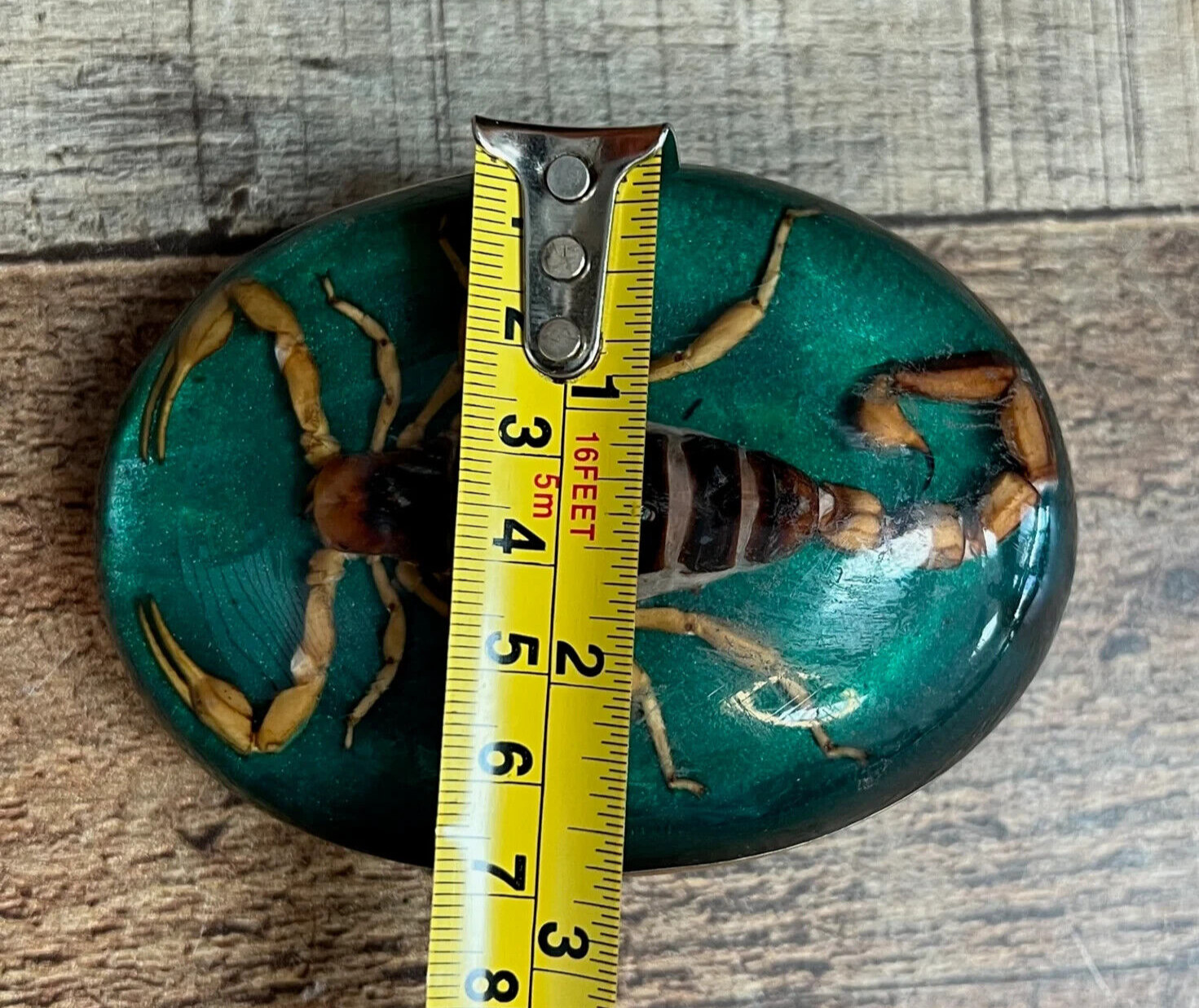 Men Women Real Scorpion Belt Buckle Western Cowboy Vintage MADE IN HECHO MEXICO