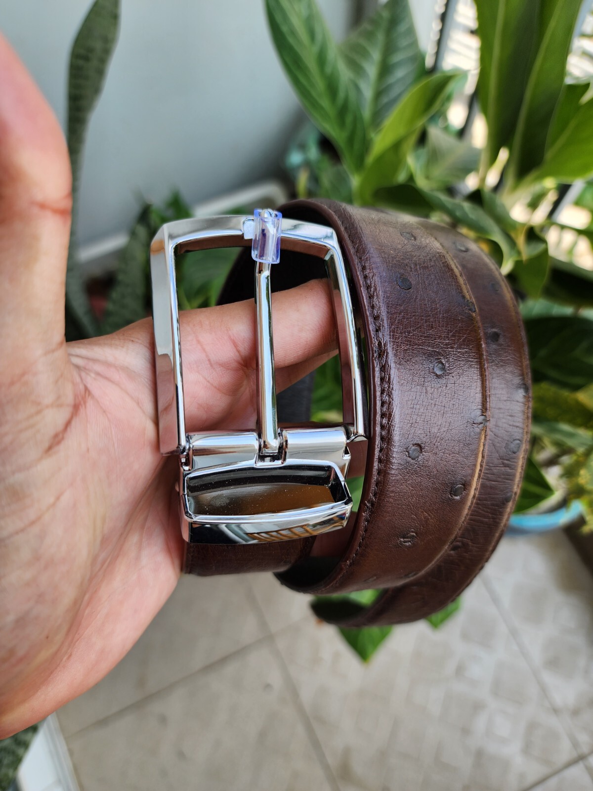3.8CM Brown 100% Genuine Ostrich Leather Skin Men Belt Silver Buckle- Handmade