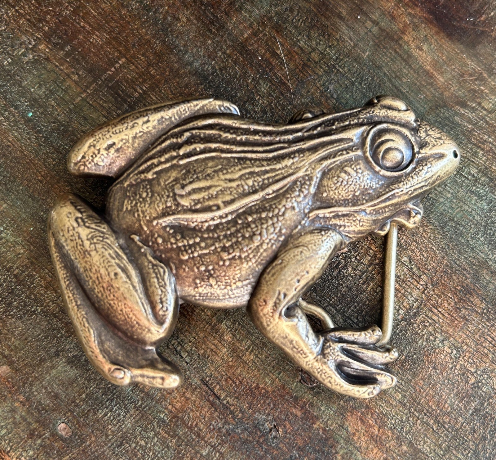 Brass Frog Belt Buckle Large Bullfrog Lily Pad Western Cowboy Design