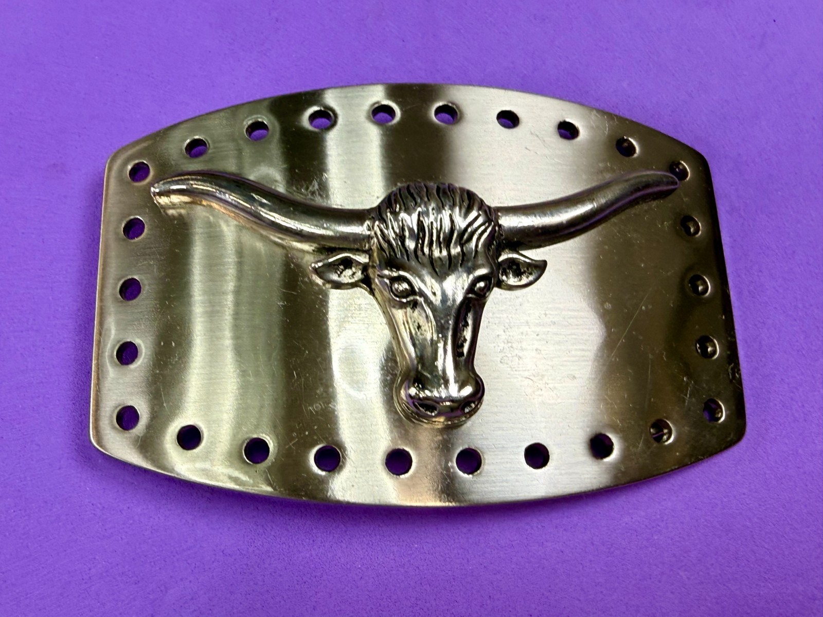 Longhorn Steer Skull Raised Silver Tone Large Belt Buckle With Hole Border