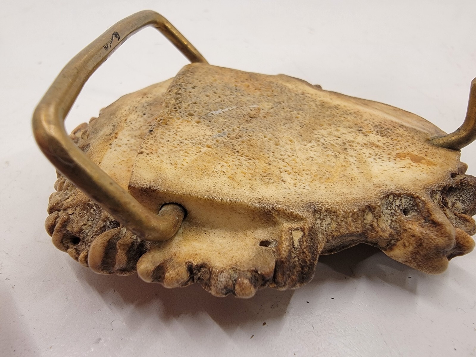 Vintage Elk Antler Belt Buckle With Eagle HD Motorcycle Brand Motif